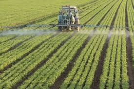 Agro-food industry: Morocco, 3rd destination for DFI in Africa